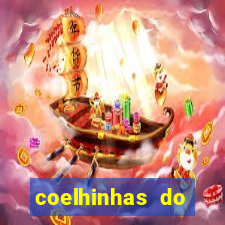 coelhinhas do brasil jp